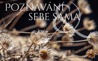 Poznávání sebe sama